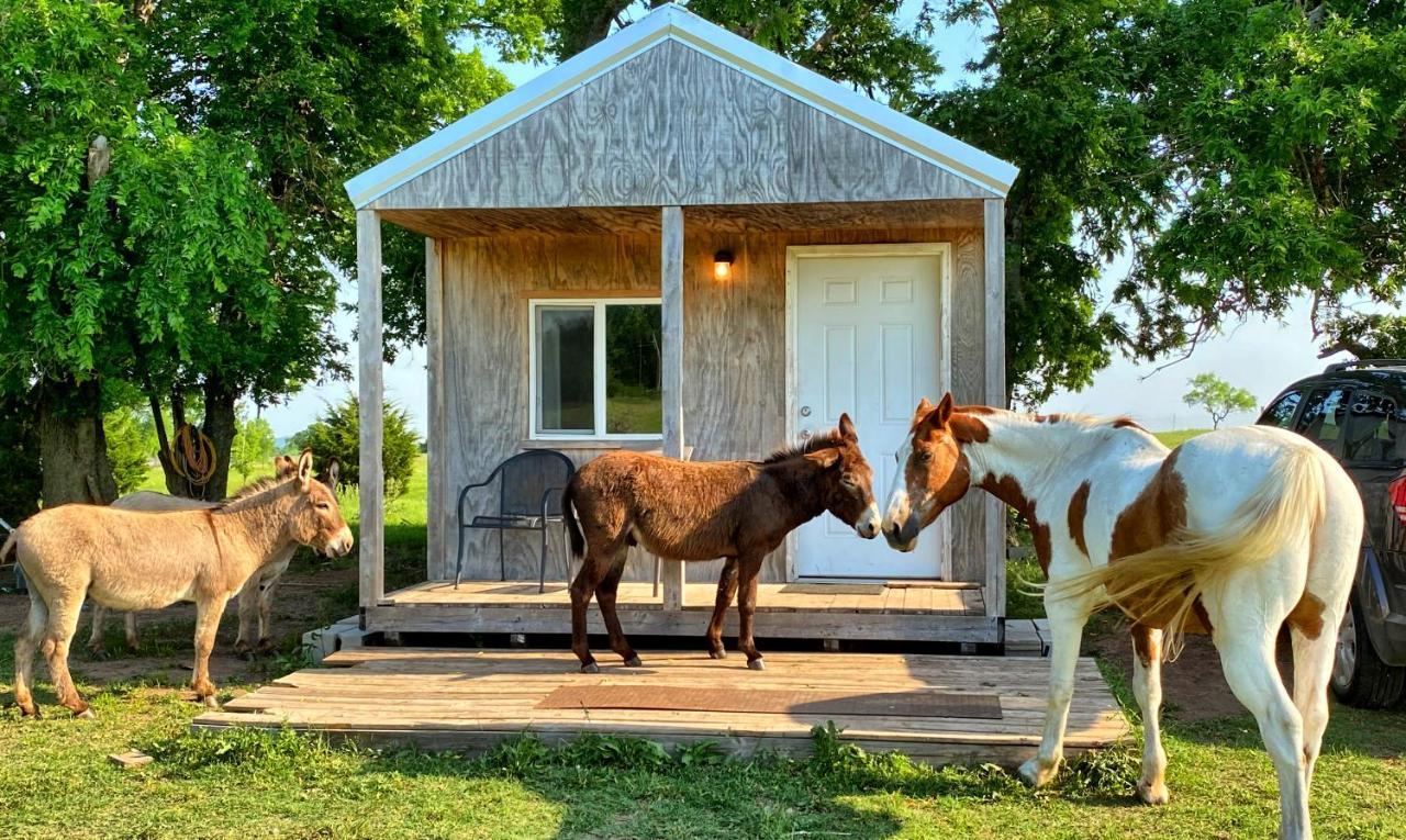 Tiny Cabin At The Donkeyranch Medicine Park Exterior foto