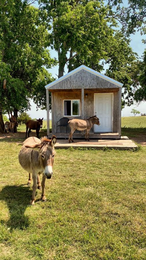 Tiny Cabin At The Donkeyranch Medicine Park Exterior foto